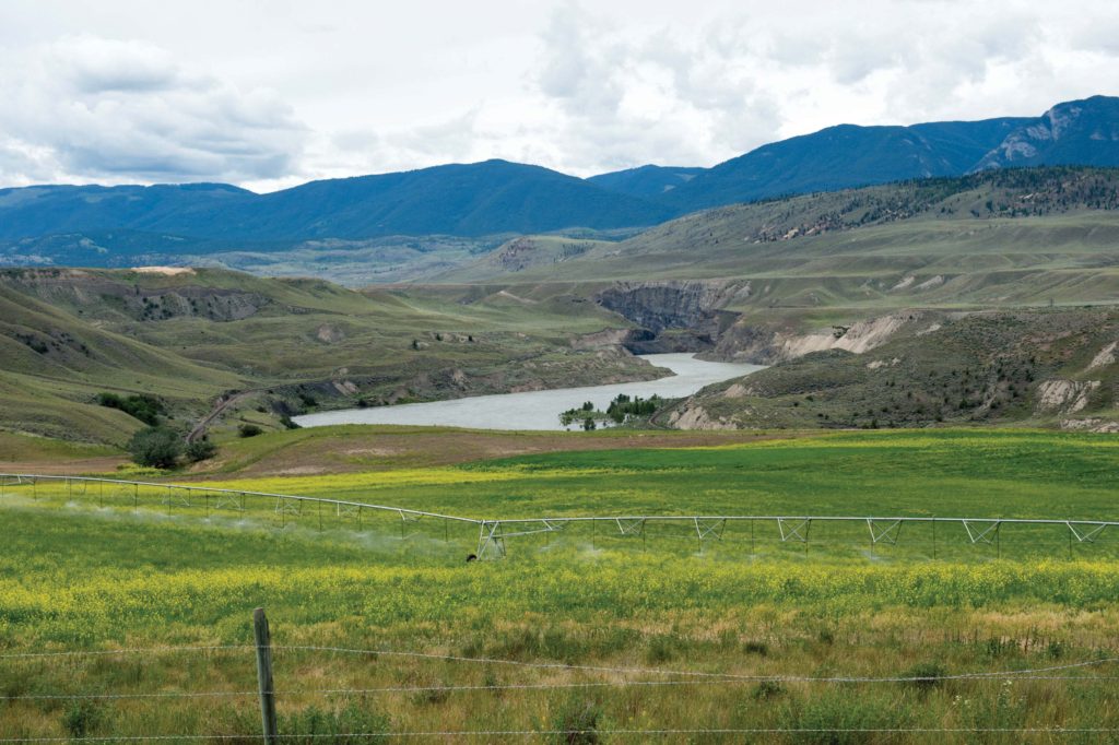 Bar M Ranch >Hwy#97C, Ashcroft | 573 Acres | 4 Residences | 550 head cow/calf operation+1000 head feedlot | Gravity fed water| Development potential Bar M Ranch >Hwy#97C, Ashcroft | 573 Acres | 4 Residences | 550 head cow/calf operation+1000 head feedlot | Gravity fed water| Development potential