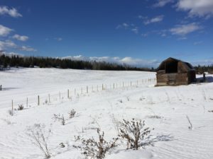 Quesnel Farm Dale Lake Road