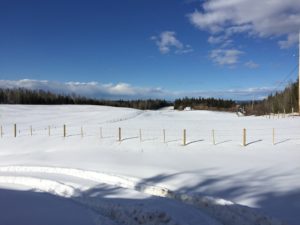 Quesnel Farm Dale Lake Road