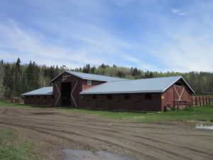 Cinch Buckle Bar