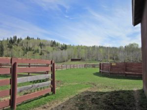 Cinch Buckle Bar