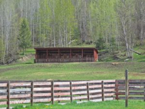 Cinch Buckle Bar