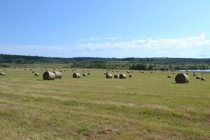 Carpenter Mountain Ranch 2018