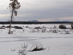 Guichon Creek Ranch