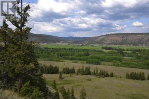 Chilko Ranch Road