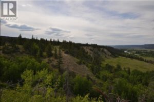 Chilko Ranch Road