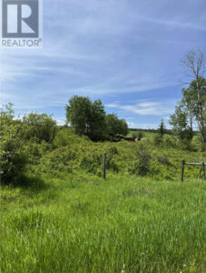 11170 Plett Road Hixon BC